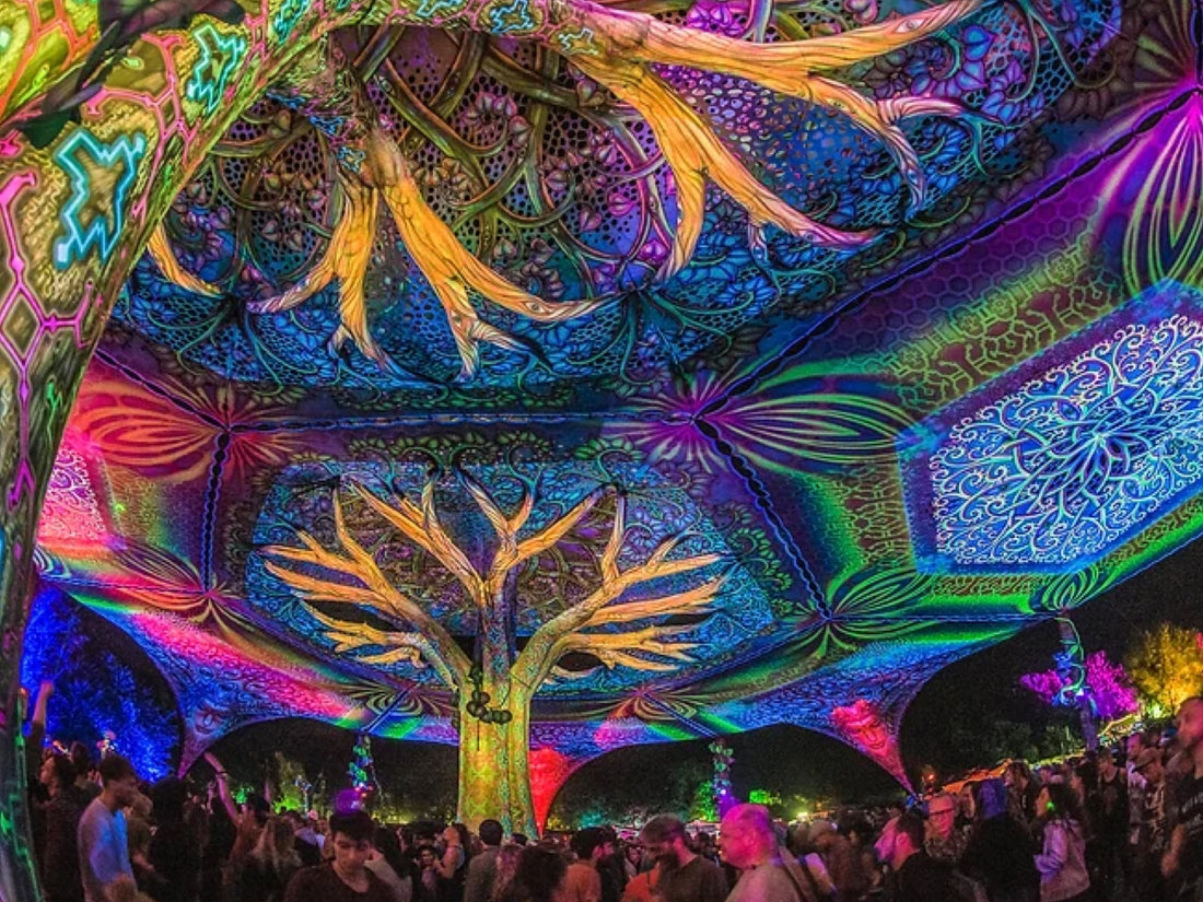 Psy-fi festival 2026 : le rendez-vous électro à vivre cet été en Allemagne