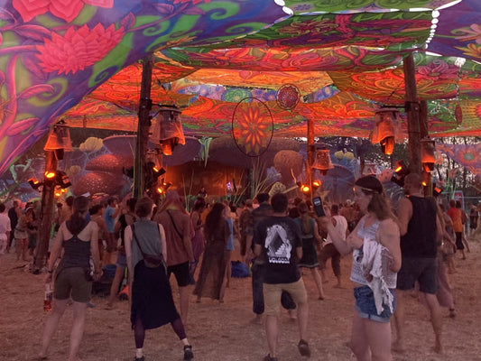 evolution festival 2025