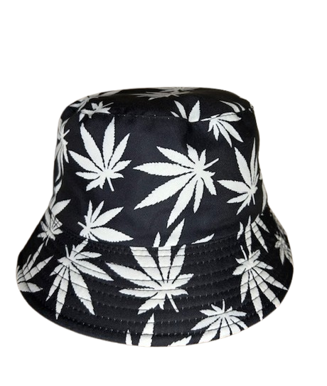 BOB FEUILLE DE CANNA BLANCHE